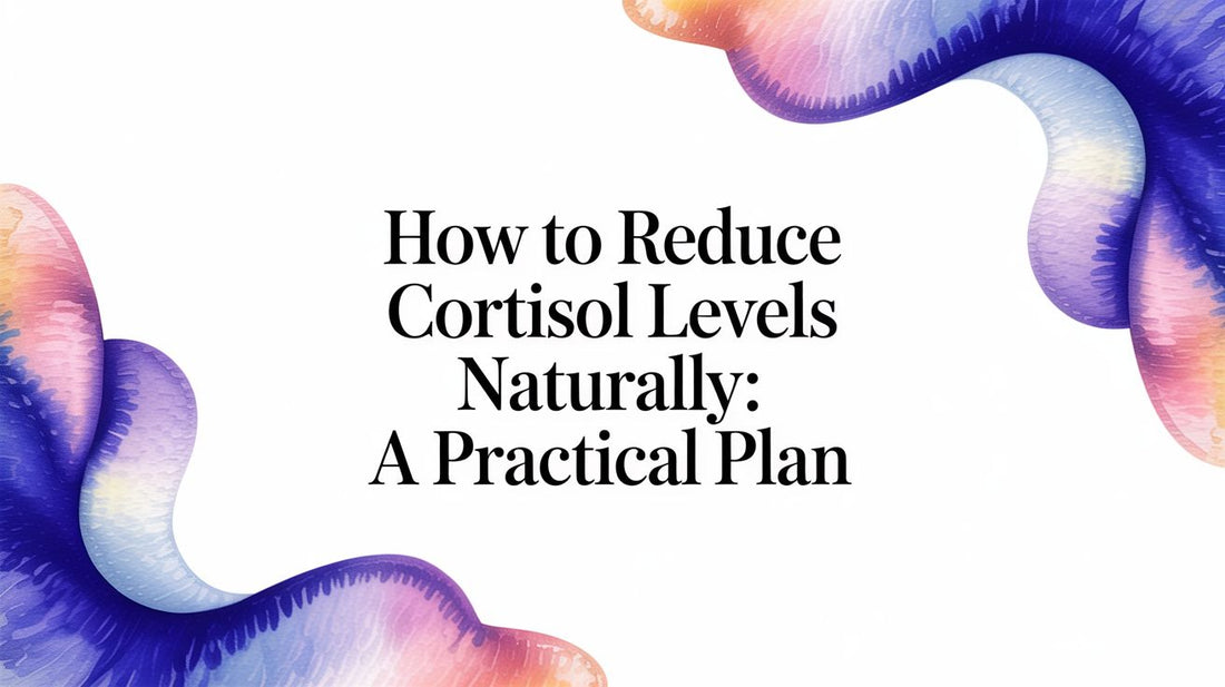 How to Reduce Cortisol Levels Naturally: A Practical Plan